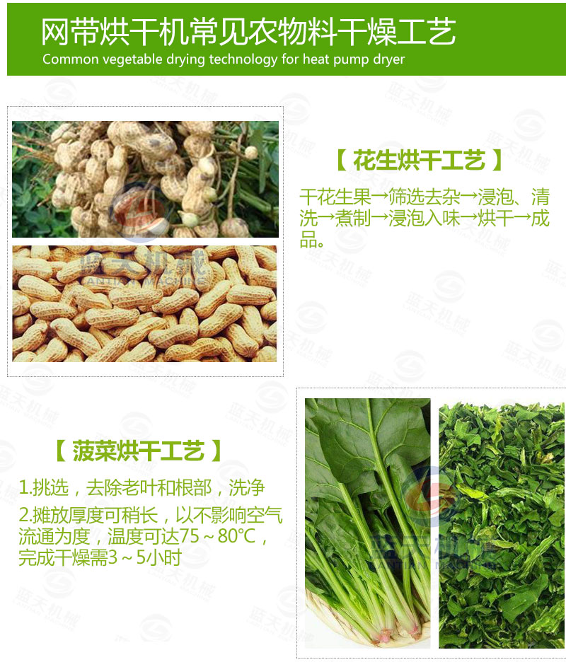 花生網(wǎng)帶式烘干機(jī)常見蔬菜烘干工藝