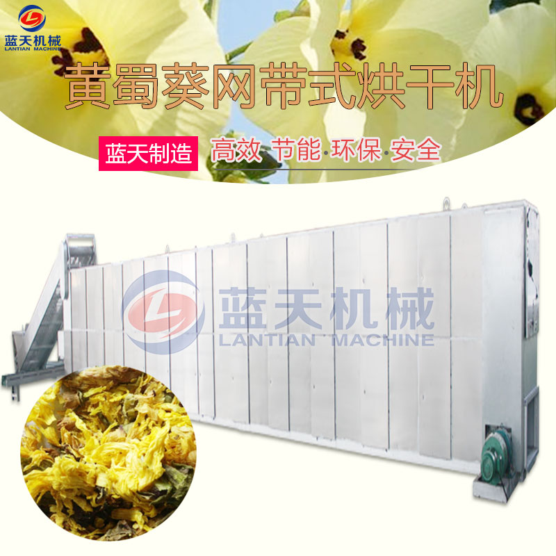 黃蜀葵網(wǎng)帶式烘干機(jī)