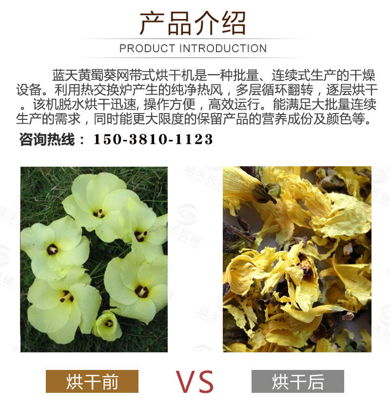 黃蜀葵網(wǎng)帶式烘干機(jī)產(chǎn)品介紹