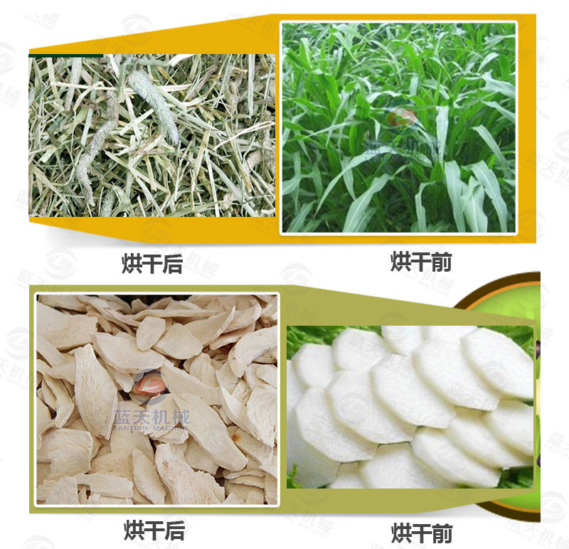 牧草網(wǎng)帶式烘干機(jī)產(chǎn)品烘干前后