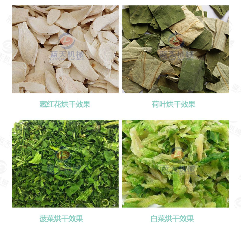 牧草網(wǎng)帶式烘干機(jī)烘干效果