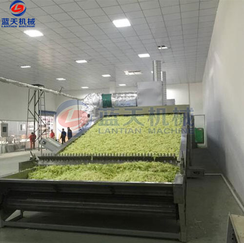 河南蔬菜網(wǎng)帶烘干機(jī)客戶現(xiàn)場(chǎng)