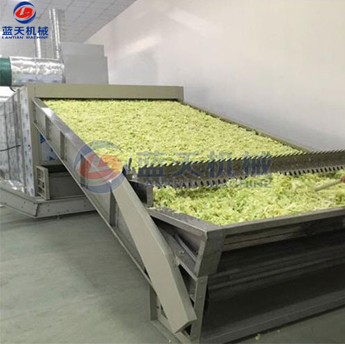 河南蔬菜網(wǎng)帶烘干機(jī)客戶現(xiàn)場(chǎng)