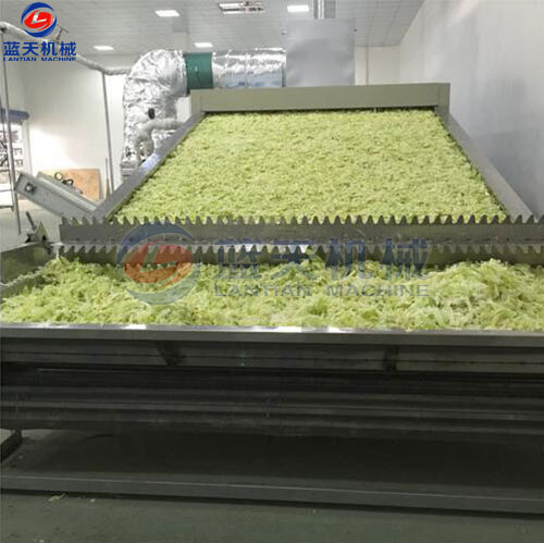 河南蔬菜網(wǎng)帶烘干機(jī)客戶現(xiàn)場(chǎng)