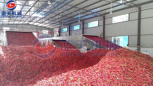 湖南辣椒網(wǎng)帶烘干機(jī)客戶(hù)現(xiàn)場(chǎng)
