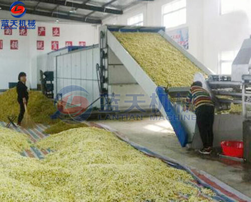 菊花網(wǎng)帶式烘干機客戶現(xiàn)場