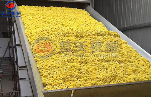 菊花網(wǎng)帶式烘干機客戶現(xiàn)場