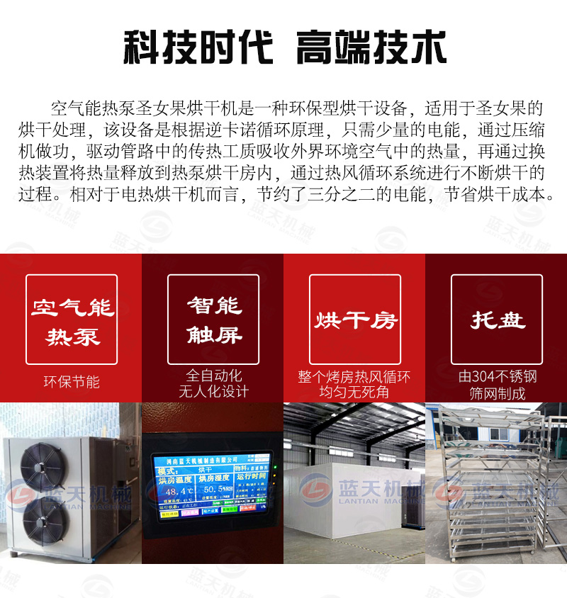 圣女果烘干機(jī)高端技術(shù)