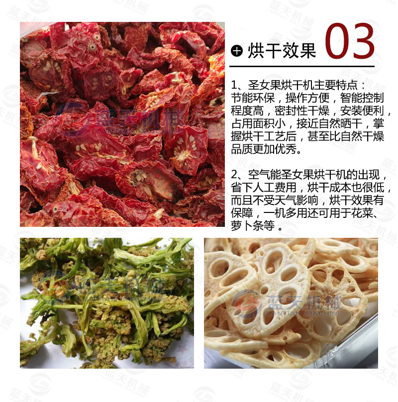 圣女果烘干機(jī)烘干效果