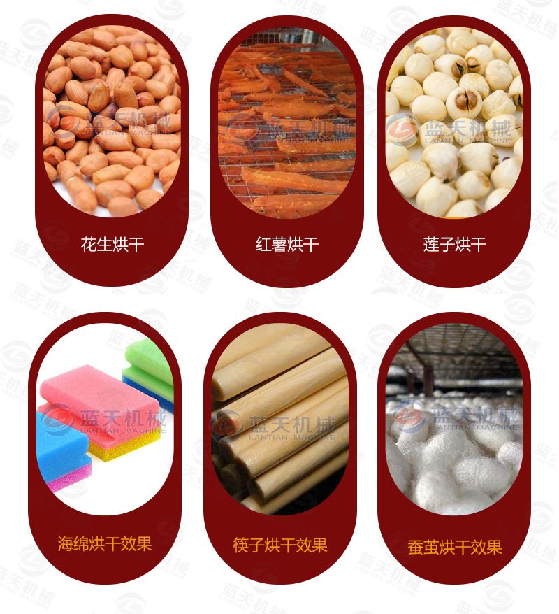圣女果烘干機(jī)烘干效果