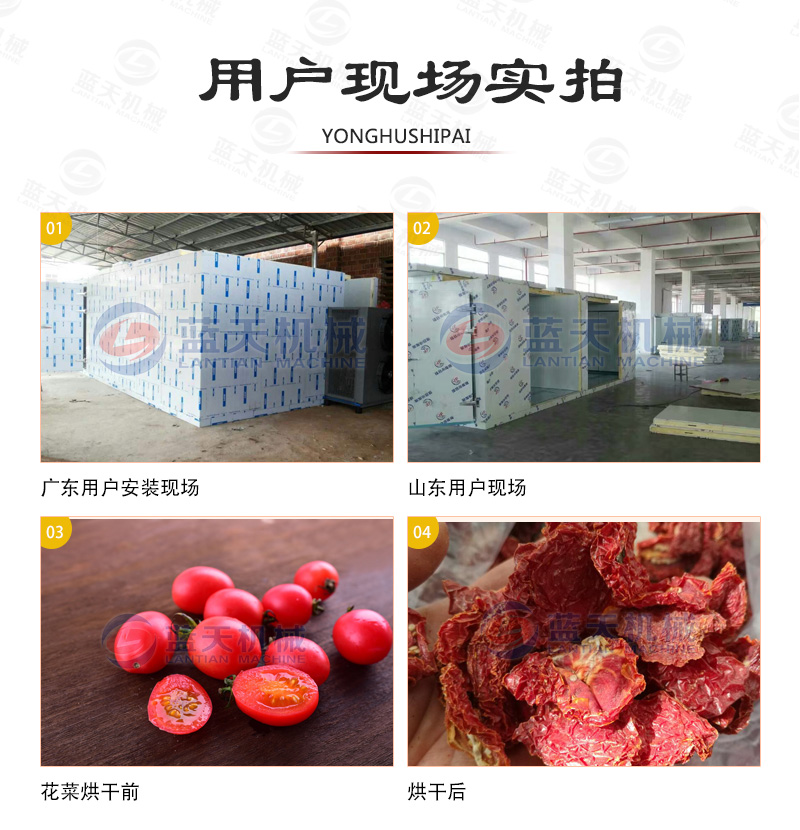 圣女果烘干機(jī)用戶(hù)現(xiàn)場(chǎng)